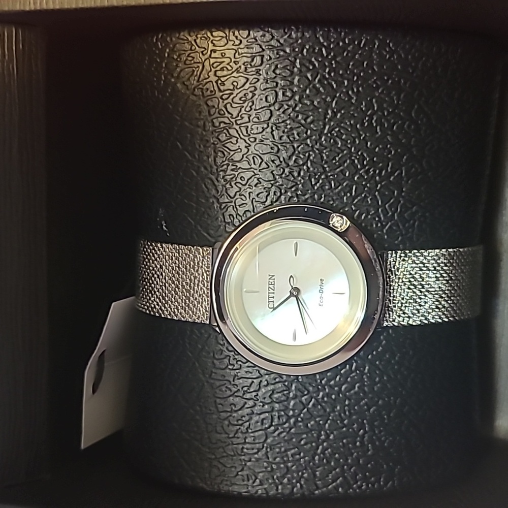 Brand new ladies Citizen watch